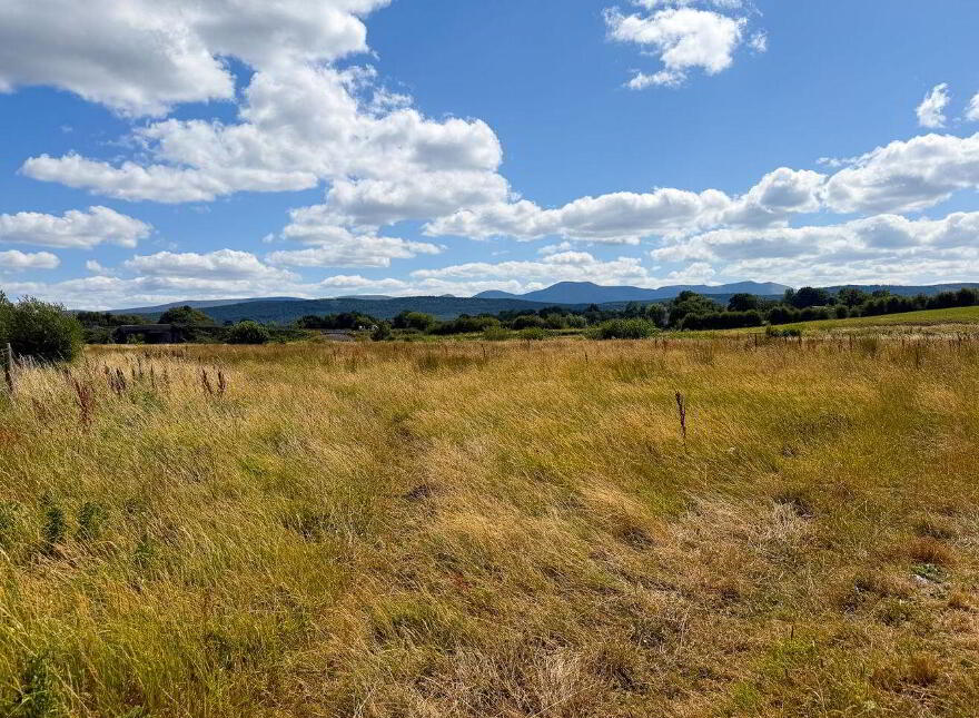 Limerick Road, Tipperary Town