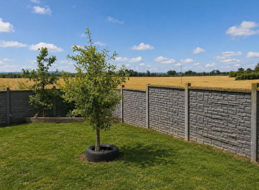 Ballybrophy, Borris-In-Ossory, R32YW65