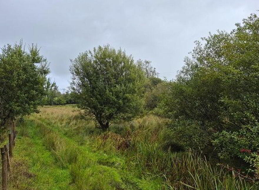 Deerpark, Manorhamilton