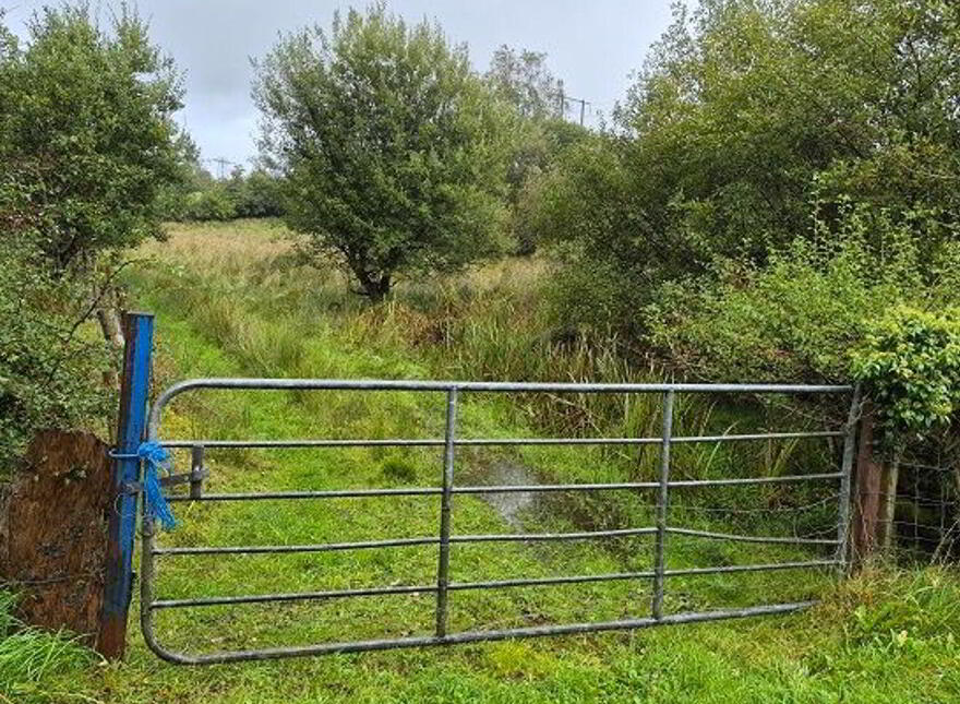 Deerpark, Manorhamilton
