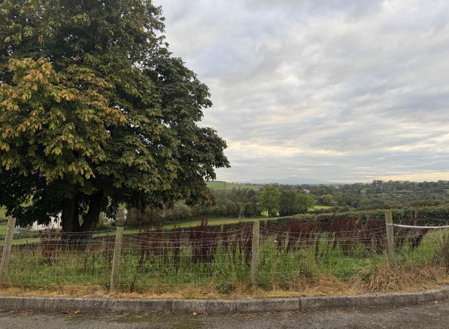 7 Castlerainey Road, Crossgar, Downpatrick, BT30 9DP
