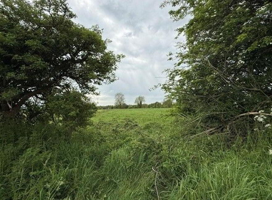 Ardanreagh, Holycross photo