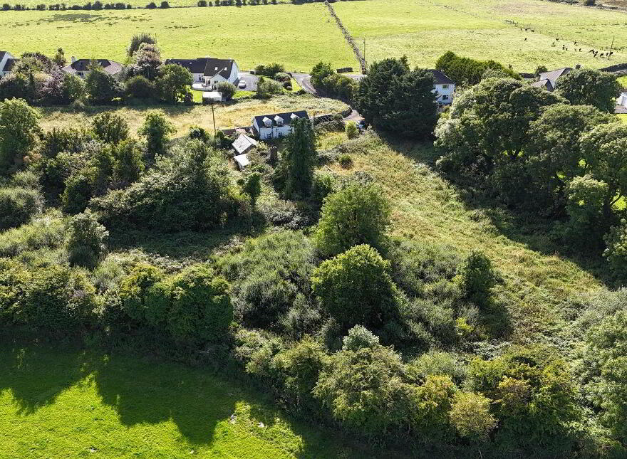 Derryhoyle, Craughwell, H91A8RP