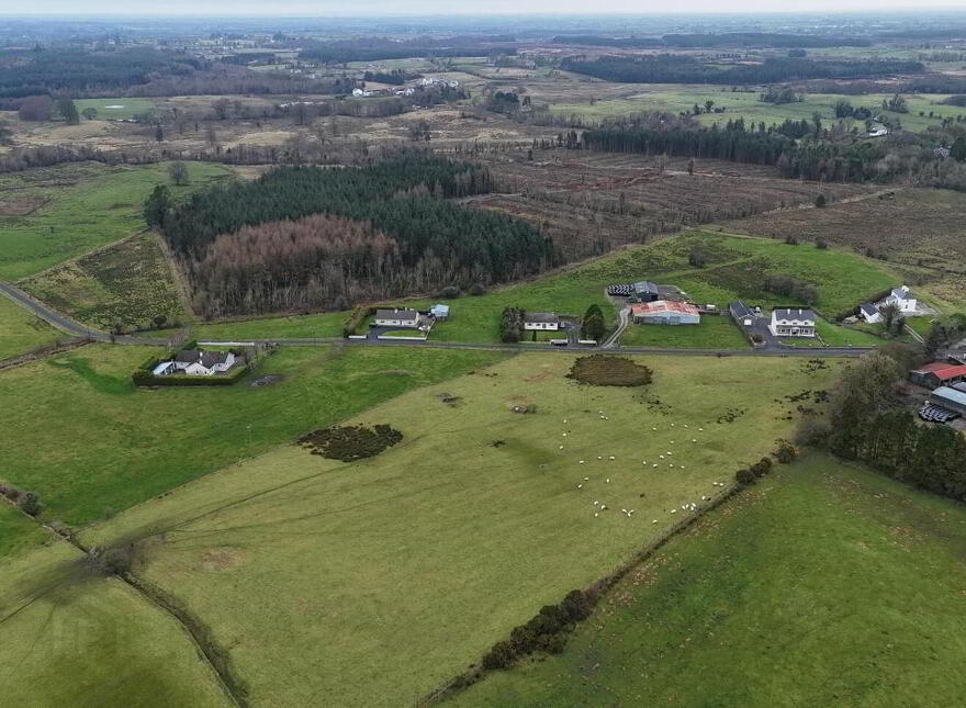 Woodlawn, Ballinasloe