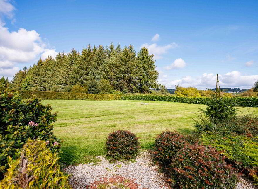 Knocknageeha, Gneeveguilla, Rathmore, P51N6P4