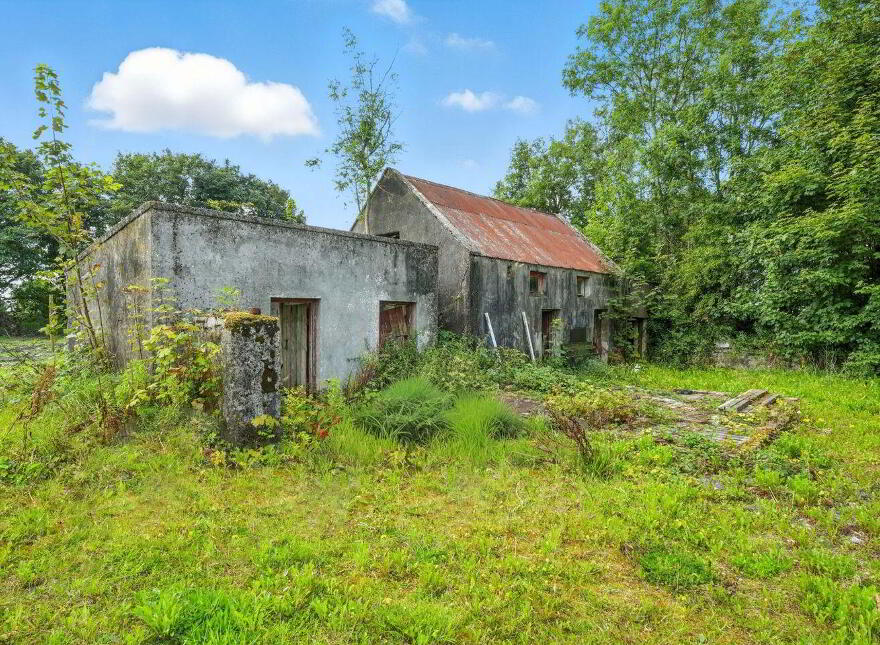 Ballintleva, Belclare, Tuam, H54WV30