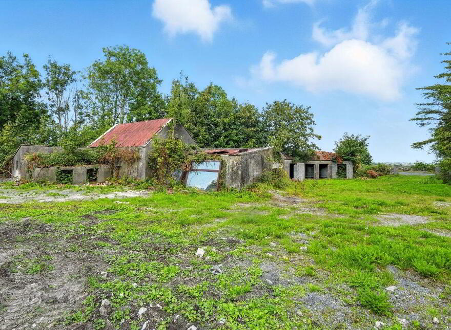 Ballintleva, Belclare, Tuam, H54WV30