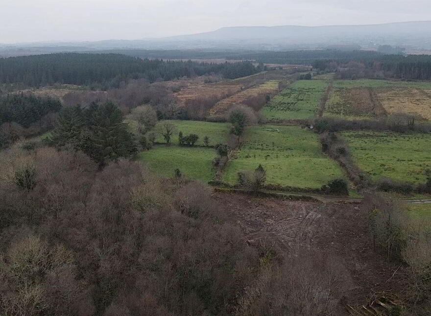 Cloonee, Westport, F12ER23