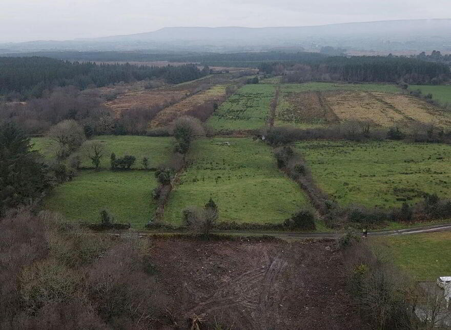 Cloonee, Westport, F12ER23