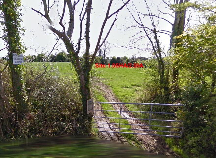Portroyal, Partry photo