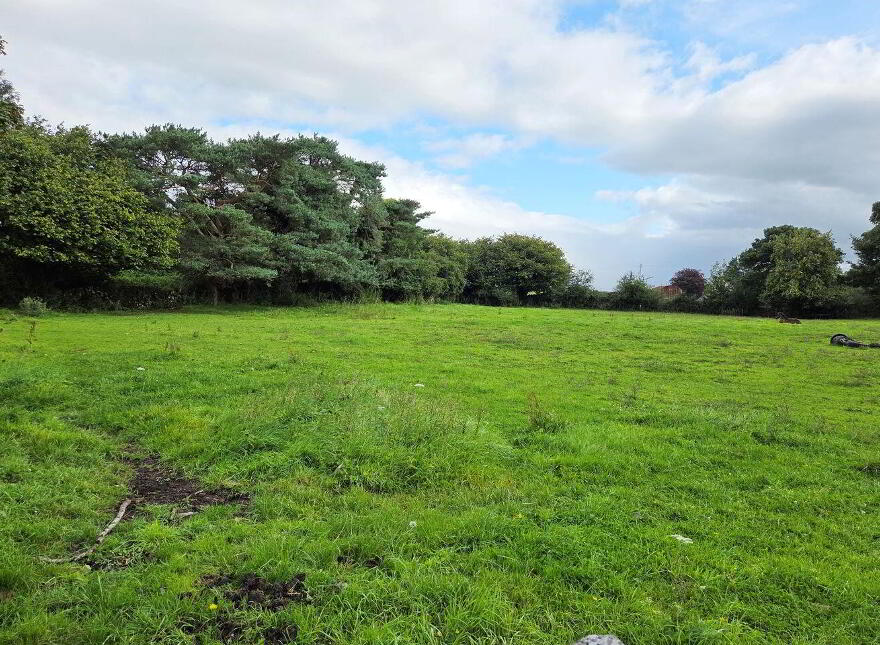 Derrada, Partry, Ballinrobe, F12NP93 photo
