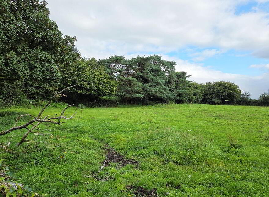 Derrada, Partry, Ballinrobe, F12NP93