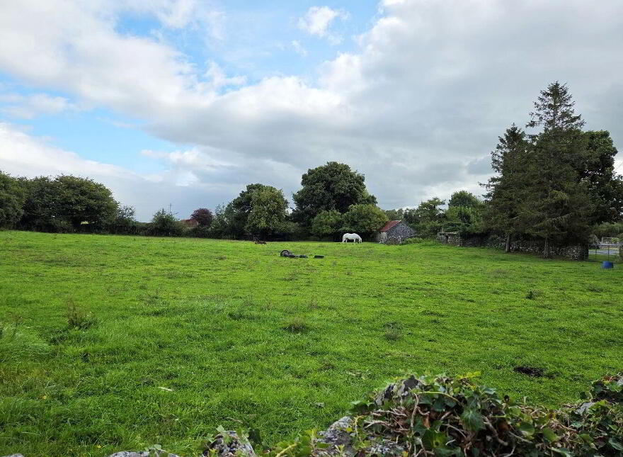 Derrada, Partry, Ballinrobe, F12NP93