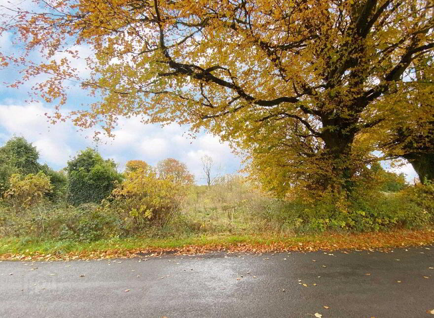 Seraghstown, Crossakiel, Killallon