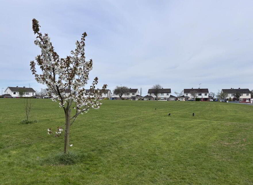 Blackcastle, Navan, C15N525