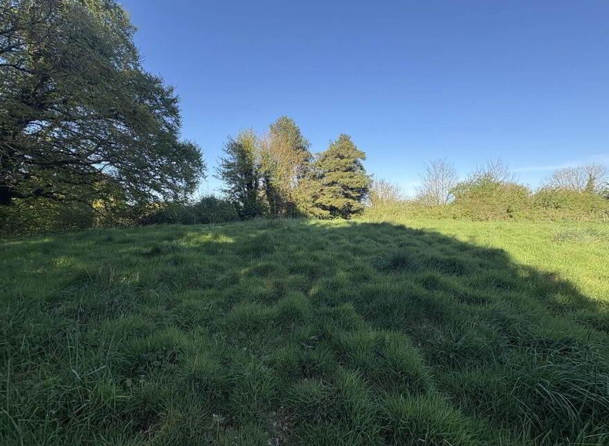 Lurganboy, Navan, C15N525