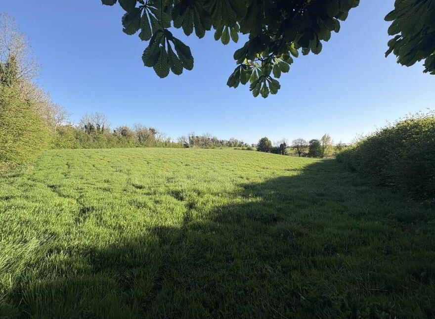 Lurganboy, Navan, C15N525