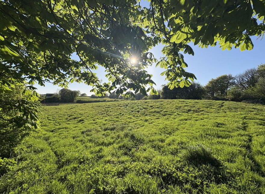 Lurganboy, Navan, C15N525