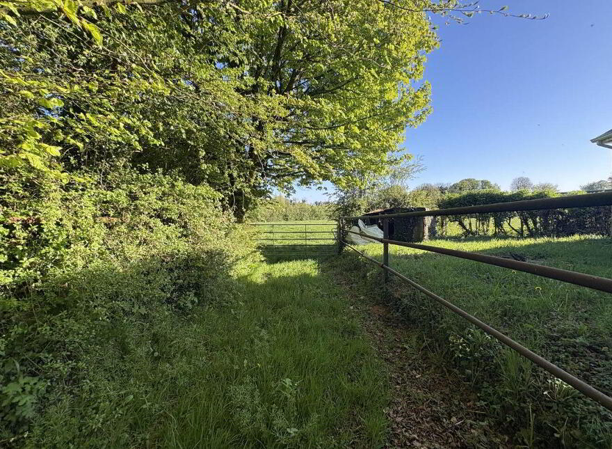 Lurganboy, Navan, C15N525