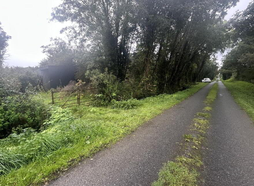 Dromore, Farranfore