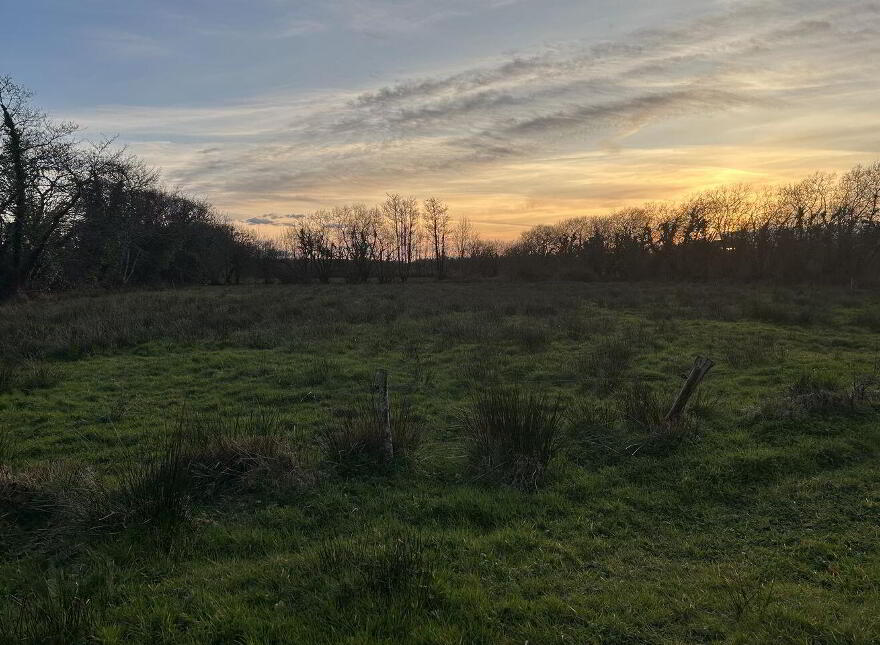 Dromore, Farranfore