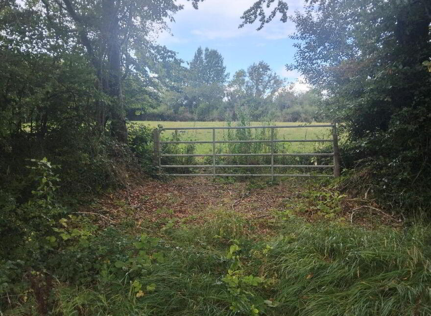 Dromard Beg, Clonmore
