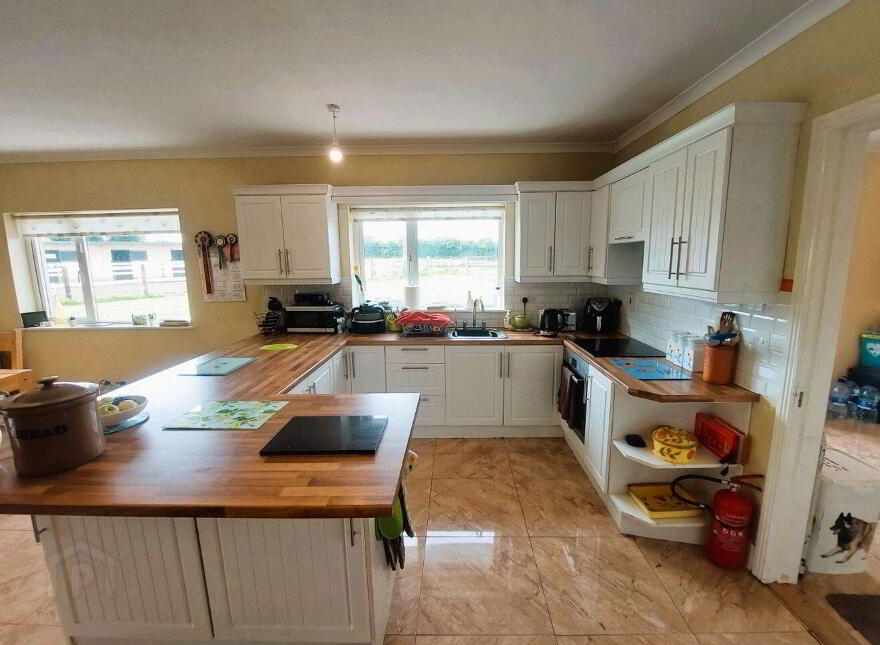 Graffin, Clonmore, Templemore, E41X253