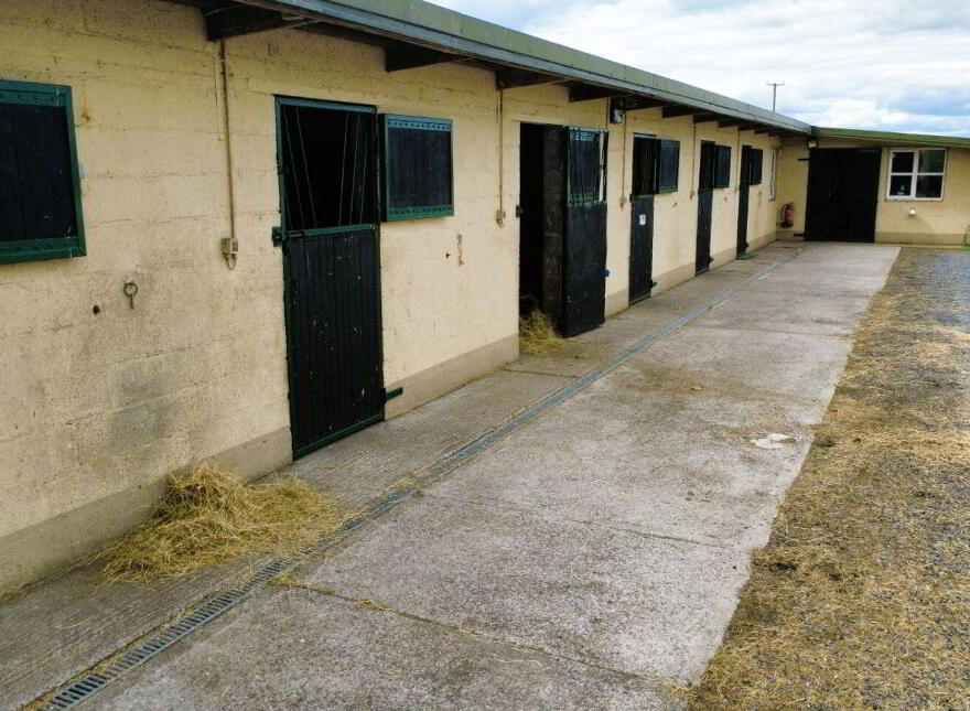 Graffin, Clonmore, Templemore, E41X253
