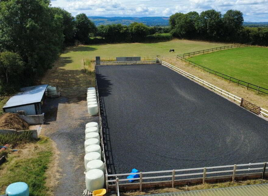 Graffin, Clonmore, Templemore, E41X253