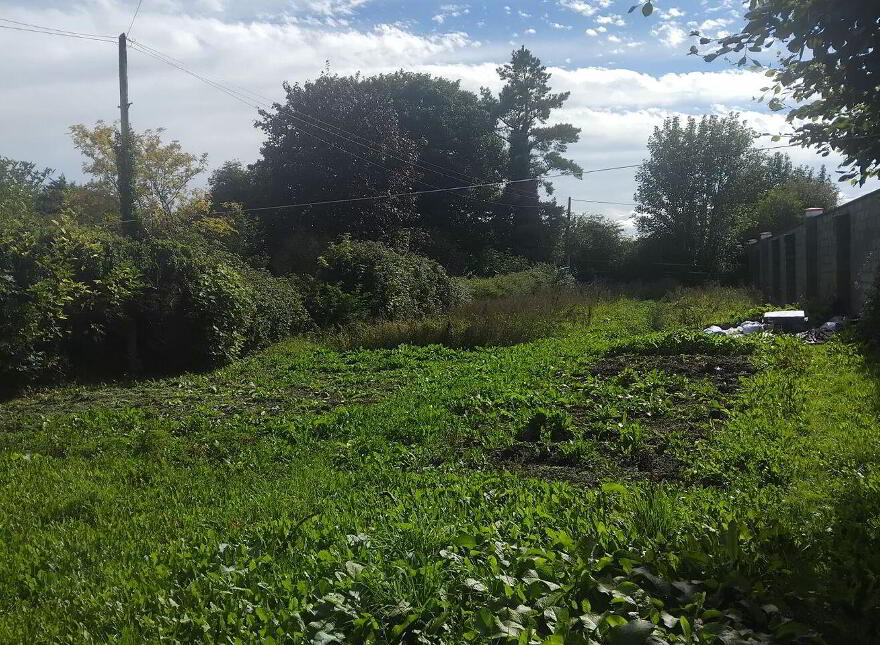 23 Sarsfield Street, Thurles, E41P440