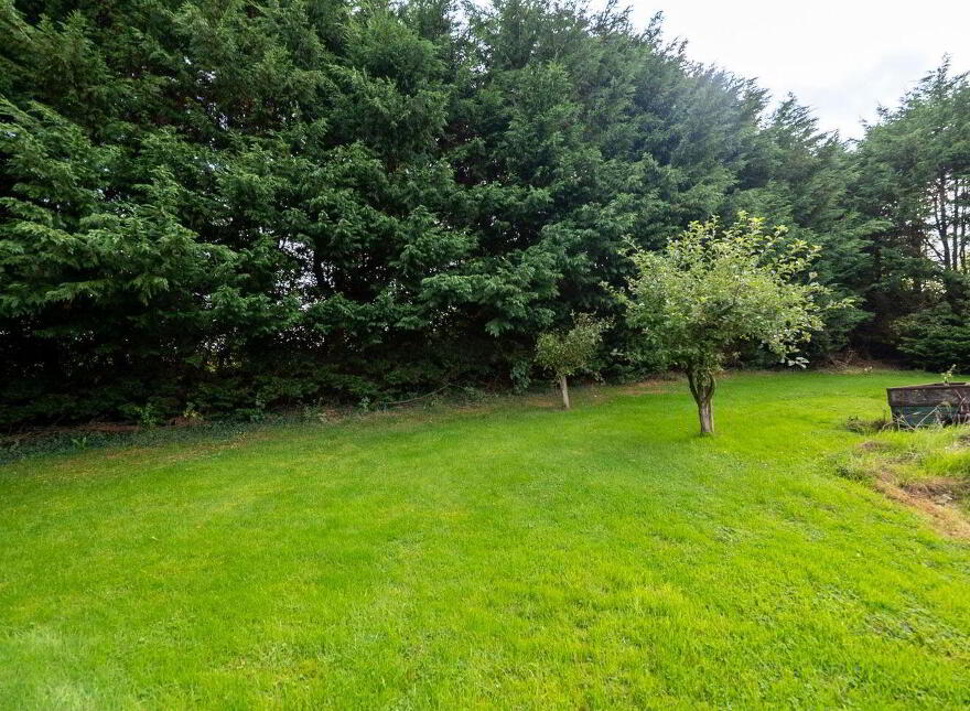 Athnid More, Thurles, E41RX82