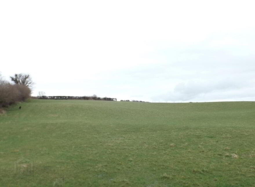 Rannagh, Tulla photo
