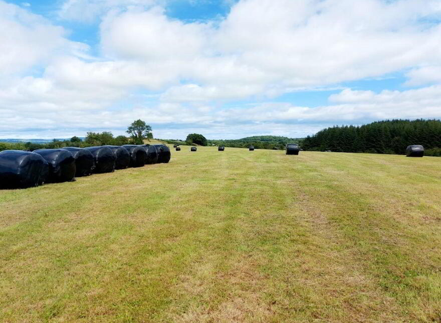 Garruragh, Tulla photo