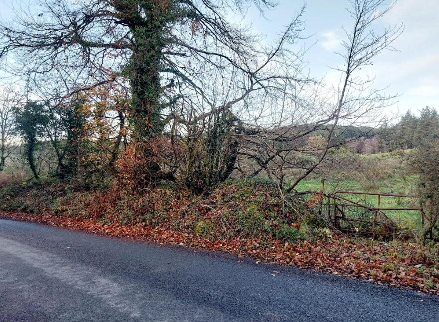 Cooleycasey, Sixmilebridge photo