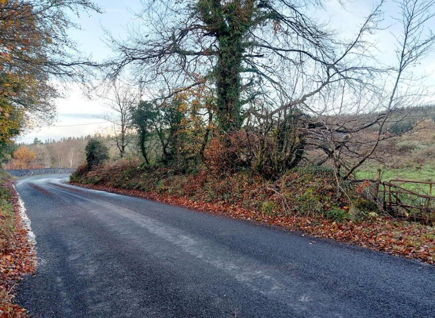 Cooleycasey, Sixmilebridge
