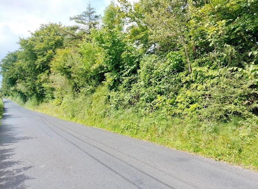 Castlecrine, Sixmilebridge