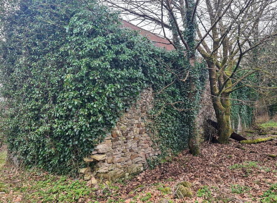 Bellaghy, Bellaghy