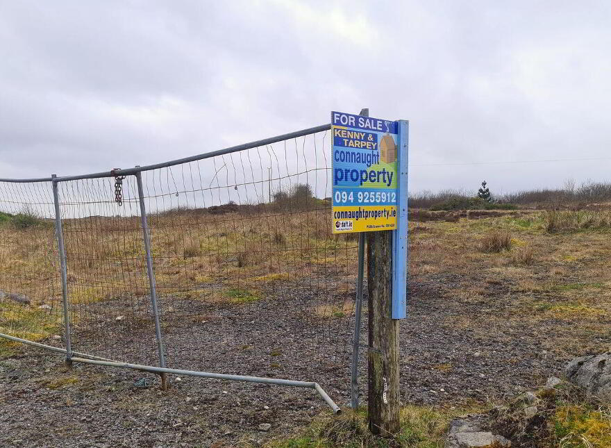 Shammer, Kilkelly