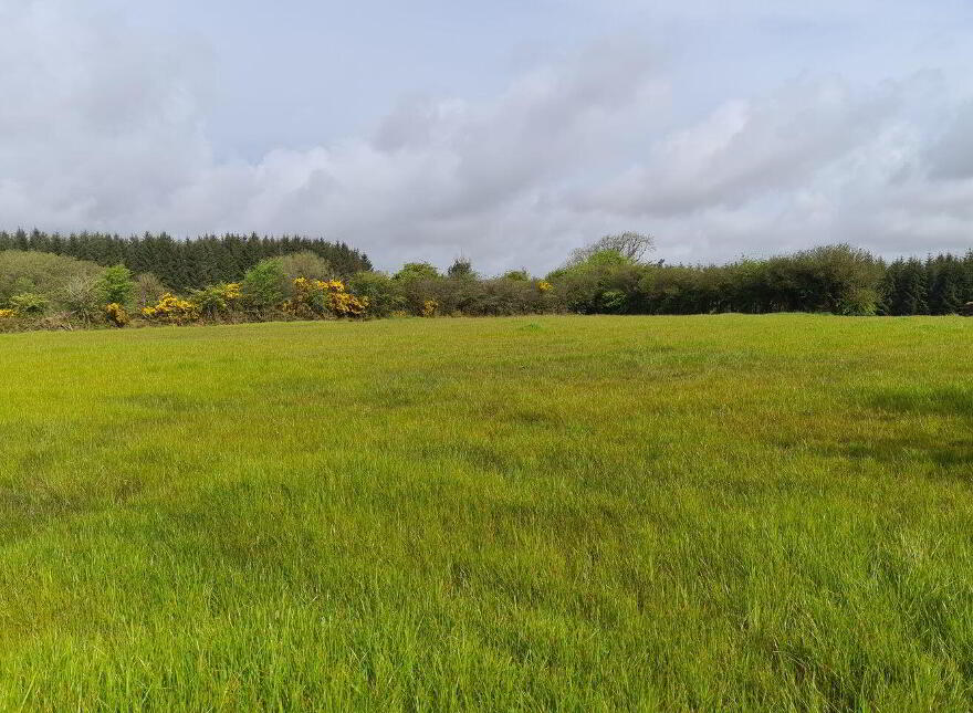 Cloonfaulus, Kilkelly