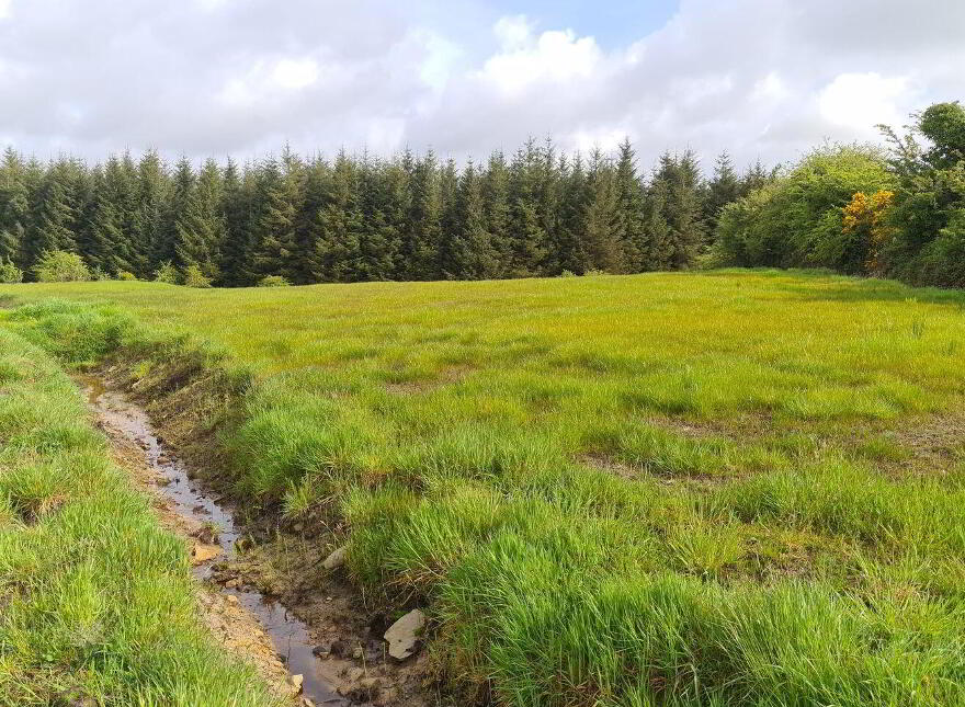 Cloonfaulus, Kilkelly