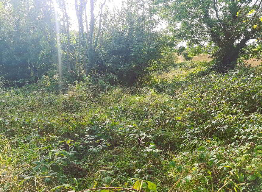 Park, Carracastle