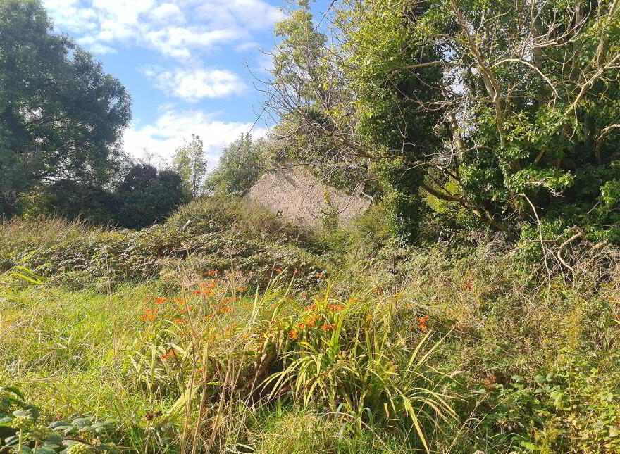 Park, Carracastle