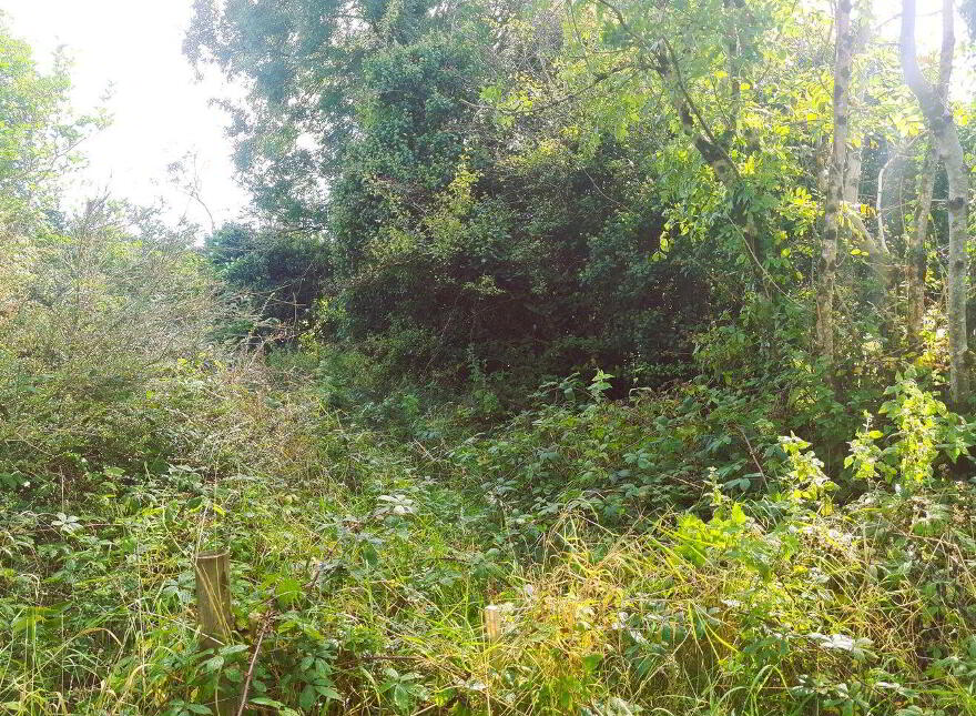 Park, Carracastle