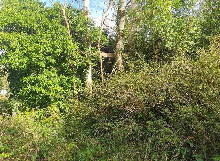 Park, Carracastle