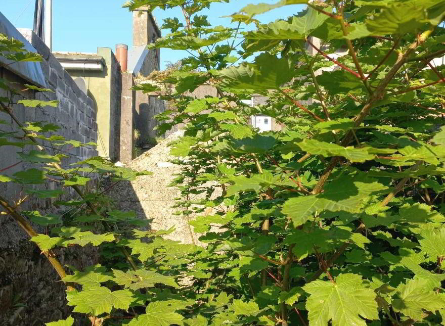 Bridge St, Kilkelly