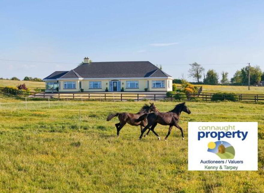 Doogary, Aghamore, Ballyhaunis, F35Y667