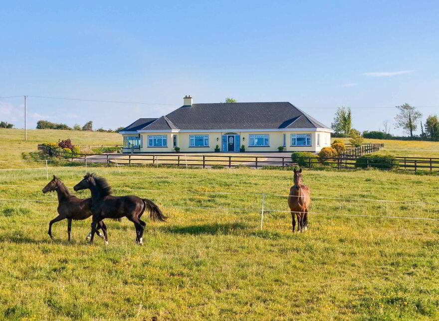 Doogary, Aghamore, Ballyhaunis, F35Y667
