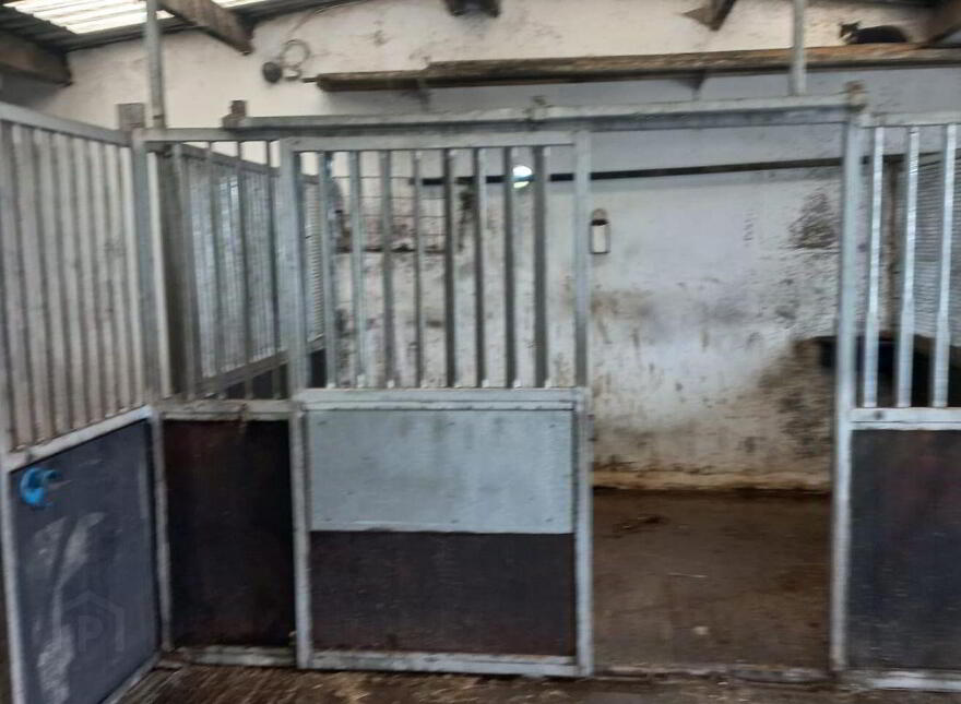 Doogary, Aghamore, Ballyhaunis, F35Y667