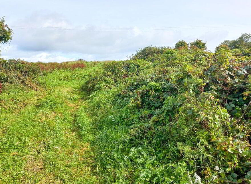 Liscosker, Kilkelly