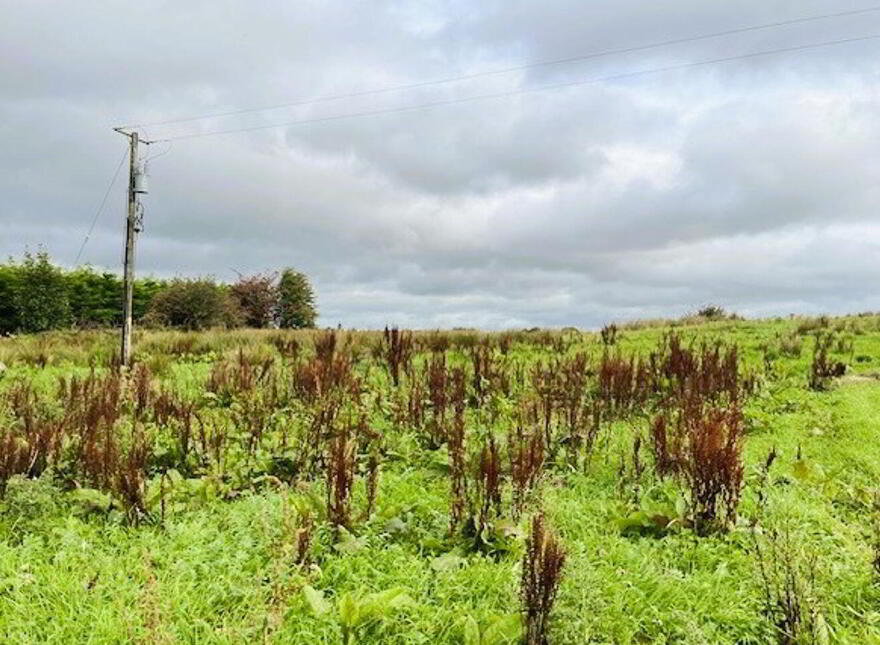 Liscosker, Kilkelly